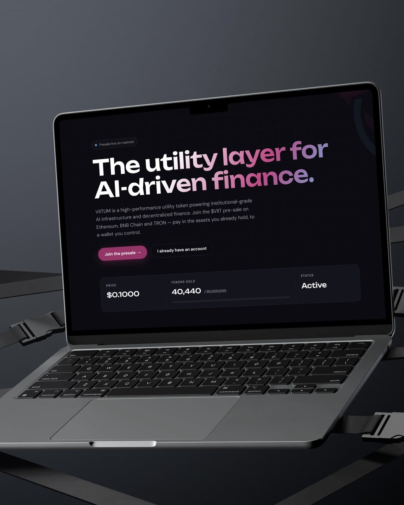 Viitum running in a browser